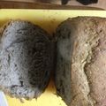 くくろのこ's cooksnap of when they made ＨＢ★パンミックス粉で黒ゴマパン.