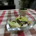 ぽっぽぺぺ's cooksnap of when they made 白菜もりもりサラダ.