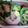 ひなもえママ's cooksnap of when they made ふらわっちのお弁当（キャラ弁）.