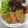 ままこーちょー's cooksnap of when they made 豚もも肉薄切りで☆たっぷりハーブカツレツ.