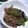 ポテトグラタン's cooksnap of when they made 絹さやと牛肉でサッと炒めもの！.