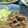 きゃんべる７０３'s cooksnap of when they made うちのしょうが焼き♪.