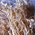 rienag's cooksnap of when they made エノキ茶.