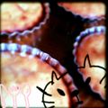 ひよまっちゃ's cooksnap of when they made 子供のおやつ～バナナケーキ.