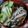 クック6MNZIL☆'s cooksnap of when they made 濃厚こく旨坦々麺(中華麺、うどん、素麺).