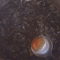 クックI7NH21☆'s cooksnap of when they made ご飯のお供★わかめのつくだ煮.