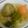 八重樫's cooksnap of when they made 春野菜のポトフ.