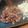 ぶち's cooksnap of when they made 豚肉のみそしょうが焼き☆.