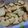 たまたまご7777's cooksnap of when they made 簡単＊さつまいもクッキー.