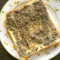 はっさく大福839's cooksnap of when they made 香ばしい　すりごまトースト.