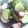紺さん's cooksnap of when they made 分量全部同じ☆すっぱくない酢の物.