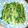 あざらしの赤ちゃん's cooksnap of when they made 水菜のおひたし.