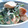 oBsession's cooksnap of when they made 鶏皮とほうれん草のピリマヨ和え.