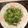 ルチオ's cooksnap of when they made ほうれん草のジェノベーゼパスタ.