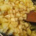 aiueoka's cooksnap of when they made ＊アップルパイに♪りんごのフィリング＊.