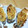 Haaaaruuuu's cooksnap of when they made 牡蠣の味噌マヨ焼き.