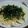 ｍａｋｉｃｈａｎ's cooksnap of when they made たらこor明太deカルボ 秘密兵器付き！.