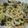 みーつん's cooksnap of when they made ツナマヨパスタ.
