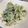 神楽家飛鳥's cooksnap of when they made たらの芽のごまごまマヨ和え.