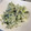 神楽家飛鳥's cooksnap of when they made たらの芽のごまごまマヨ和え.