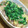 ぴよえ1007's cooksnap of when they made 豚肉と大根の炒め煮.