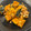 yukko09's cooksnap of when they made 簡単！かぼちゃのそぼろ煮.