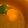 きのこ37's cooksnap of when they made レンジで１分！バーニャカウダ！？.