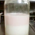 Mrコック's cooksnap of when they made ✿ひな祭り✿3色ミルクプリン✿.