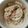 ぱぴぷぺこちゃん's cooksnap of when they made ツナと蓮根のサラダ.