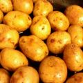 ごにょ's cooksnap of when they made 揚げ新じゃがの甘辛煮.