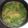 ティンカーズ's cooksnap of when they made みぶ菜と里芋の味噌汁.