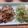クックCKV7VZ☆'s cooksnap of when they made 豚ロースのハニーマスタード照り焼き.