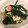 haribogb's cooksnap of when they made ほうれん草と竹輪の卵とじ.