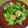 はみきたゆかし's cooksnap of when they made えびとアスパラ、ブロッコリーの鮮やか炒め.