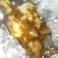 ｍｊｍｊ's cooksnap of when they made ささみの簡単ホイル焼き.
