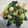 yobibaa's cooksnap of when they made ターツァイのオイスターソース炒め！.