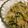 黒猫のしっぽ's cooksnap of when they made もやしとキュウリの中華和え.