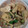 きっと's cooksnap of when they made 安うま！ささみときのこのマヨネーズ焼き.