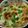 単！！'s cooksnap of when they made 簡単♫マカロニグラタン♪.