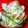 ふらんぼわ's cooksnap of when they made 旨し！あさりの酒蒸し。.