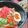 イベ長's cooksnap of when they made ゆで卵☆やや半熟卵☆半熟卵の作り方.