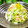 ruruchirin's cooksnap of when they made 白菜とかにかまの柚子マヨあえ.