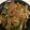 Layco♪'s cooksnap of when they made ＊簡単♪韓国チャプチェ＊.