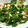 ハッピーねこちゃん's cooksnap of when they made ほうれん草と鶏ささみのごま和え.