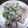まんちゃんＤ's cooksnap of when they made 水菜と豚肉＊塩麹炒め.