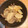 もちゅさん's cooksnap of when they made 水と油使わない　大根とばら肉の煮物.