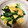 せにょりーた。's cooksnap of when they made ☆小松菜のこく旨あっさり煮☆.