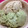 ガノッチ's cooksnap of when they made 簡単♪抹茶あずきアイス.