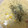 ZAQ13's cooksnap of when they made Corn Chowder.