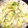 ♥ゆみ♥'s cooksnap of when they made 白菜マヨゴマ和え.